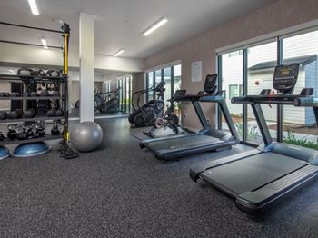 A gym with treadmills, weights, and exercise balls.